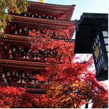 「高幡不動」駅へ12分